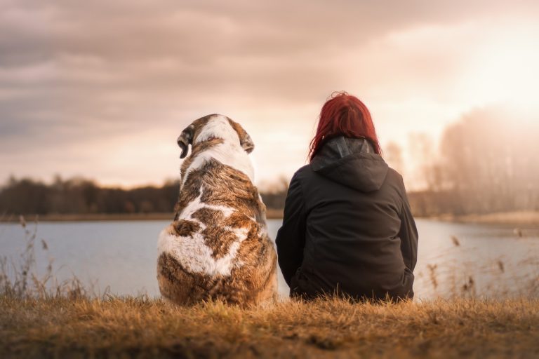 Doggy Poop Pros Dog Poop Cleaning Service